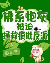 佛系炮灰许愿了